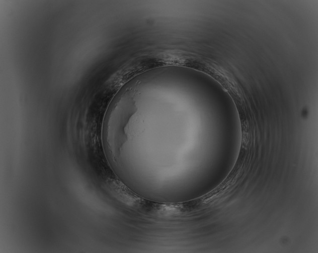 X0000095680573200801151128