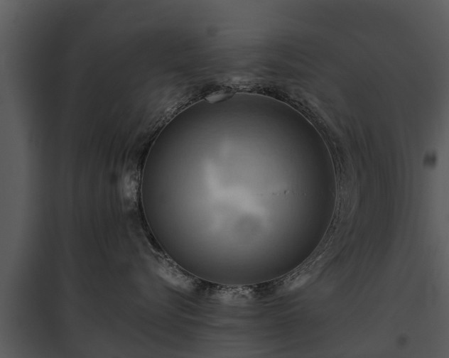 X0000095680576200801151128