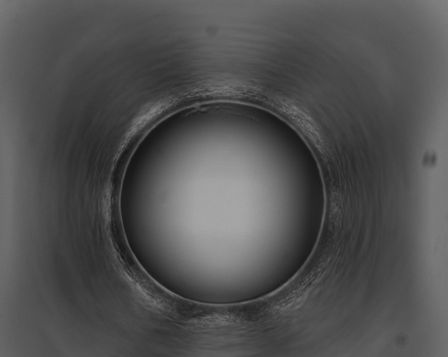 X0000095680578200801151127