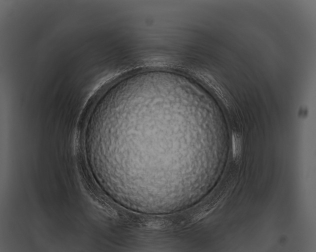 X0000095680579200801151127