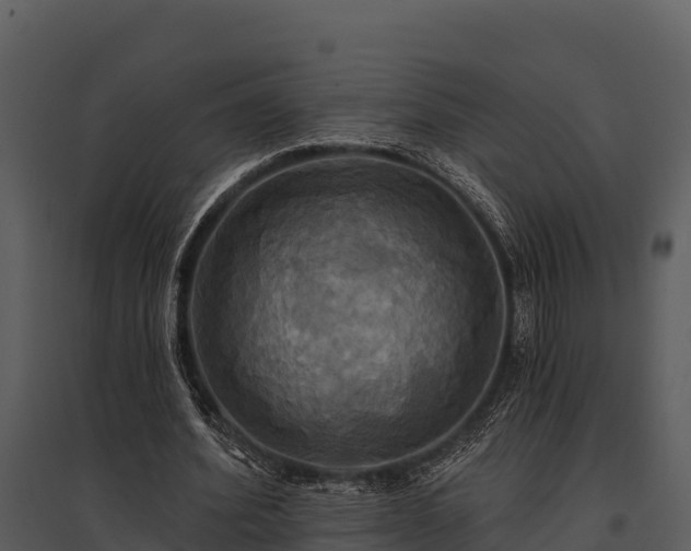 X0000095680580200801151127