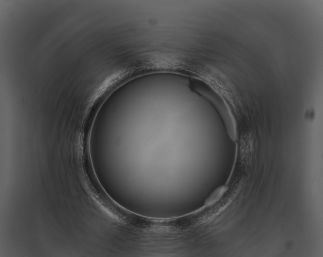 X0000095680581200801151127