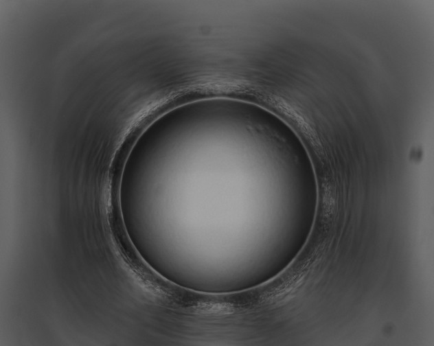 X0000095680582200801151127