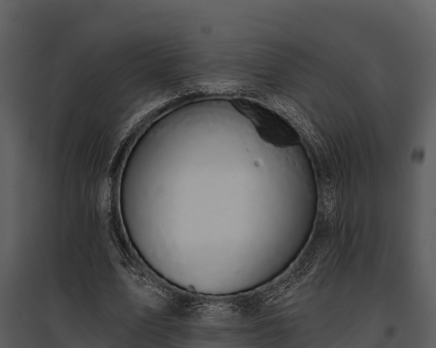 X0000095680583200801151127