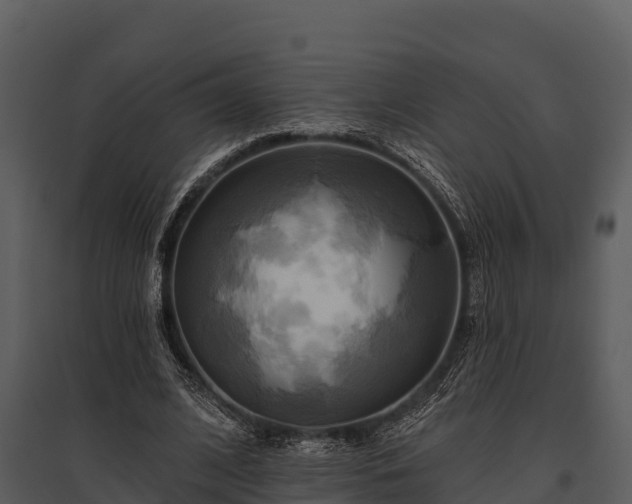 X0000095680584200801151127