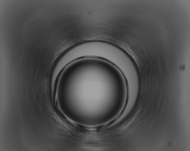X0000095680585200801151127