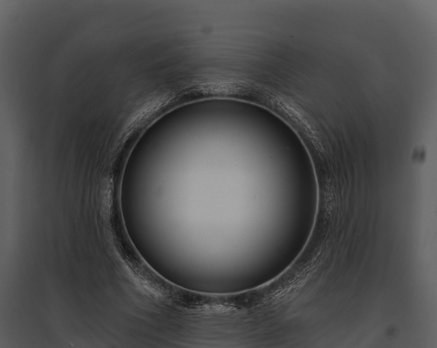 X0000095680586200801151127