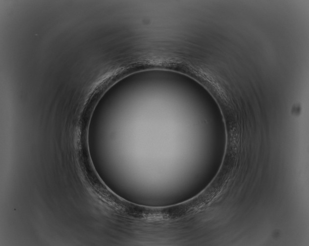 X0000095680587200801151127
