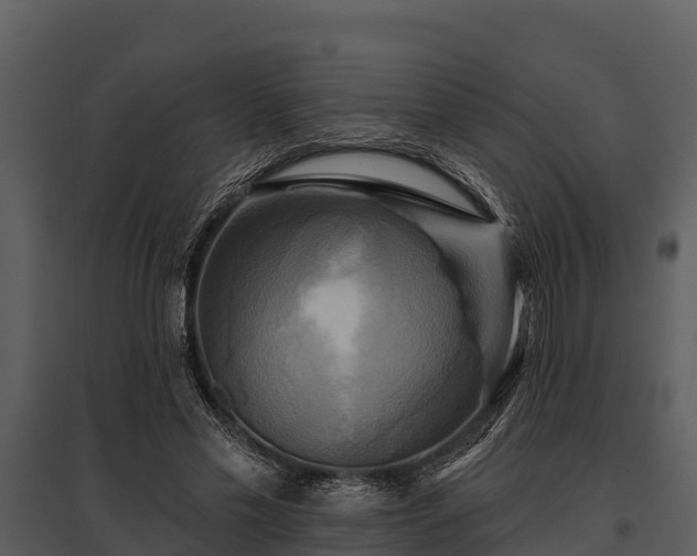 X0000095680589200801151127