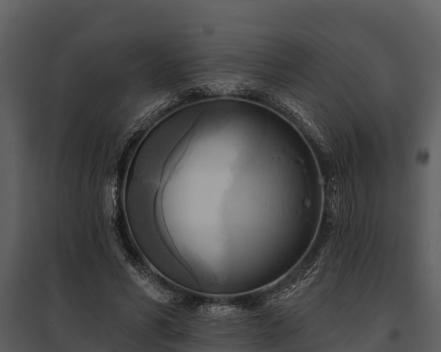 X0000095680590200801151127