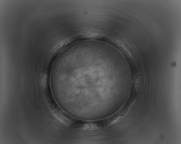 X0000095680591200801151127