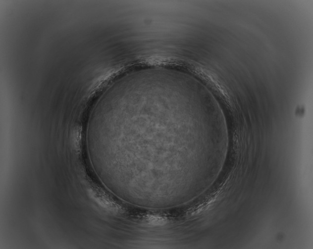 X0000095680592200801151127