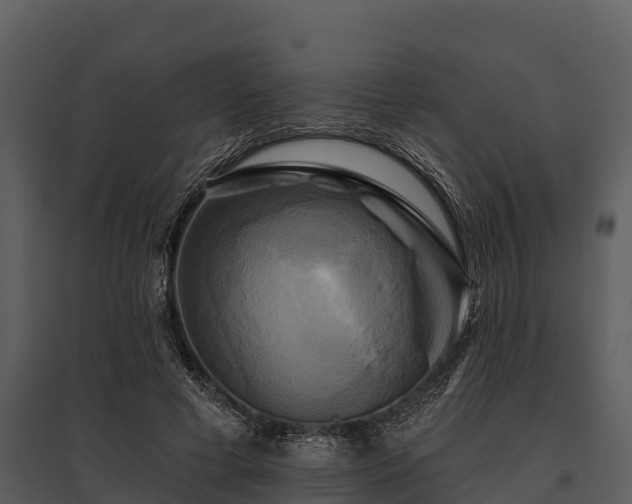 X0000095680593200801151127