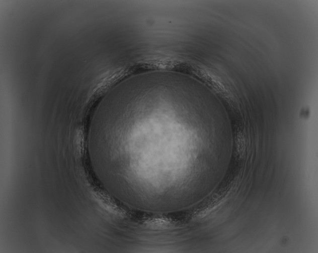 X0000095680594200801151127