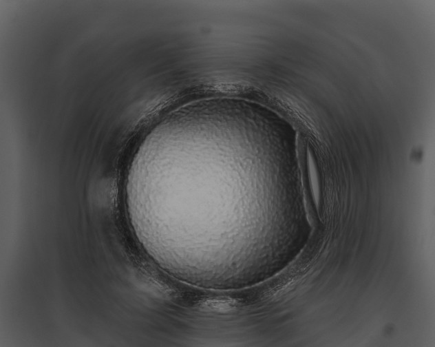 X0000095680595200801151127