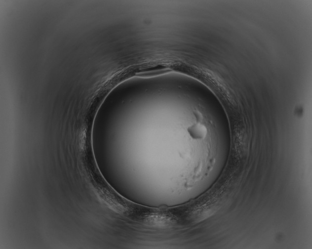 X0000095680596200801151127