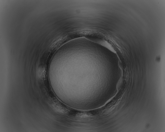 X0000095680597200801151127
