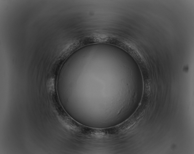 X0000095680598200801151127