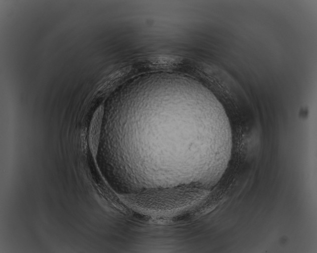 X0000095680599200801151127