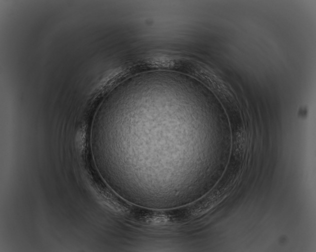 X0000095680600200801151127