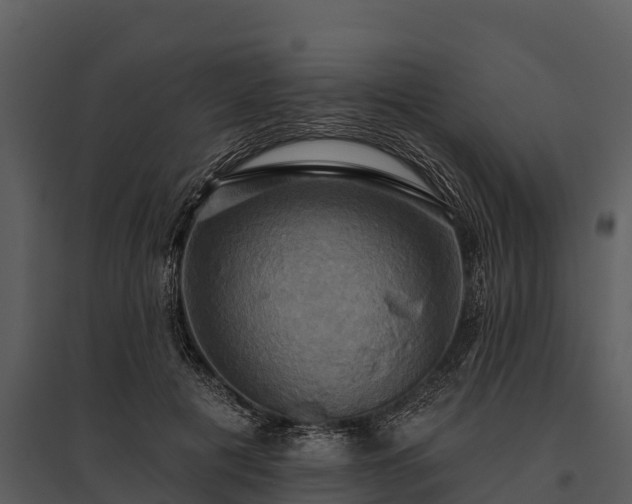 X0000095680601200801151127