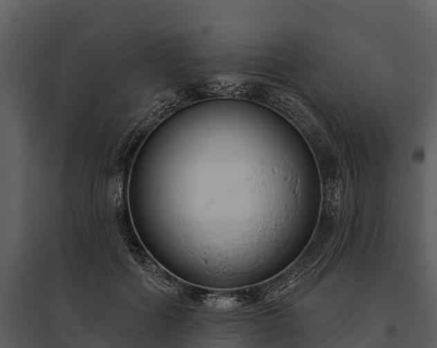 X0000095680602200801151127