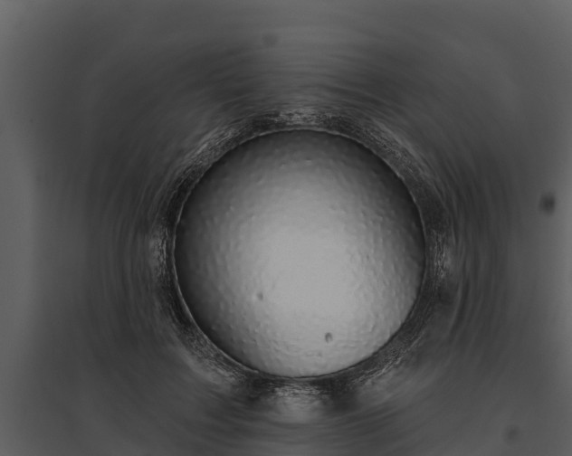 X0000095680603200801151127
