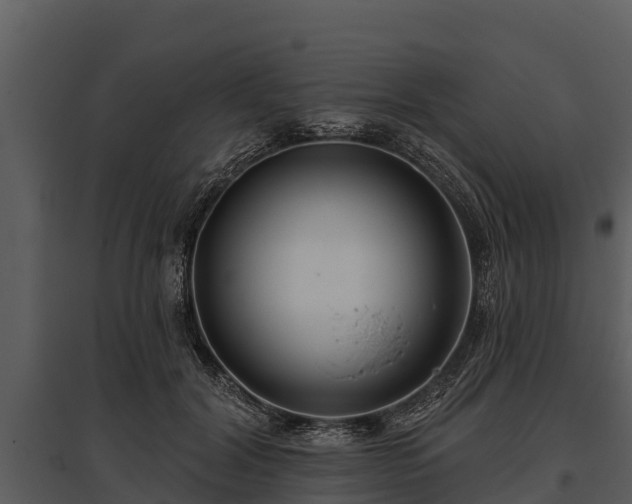 X0000095680604200801151127