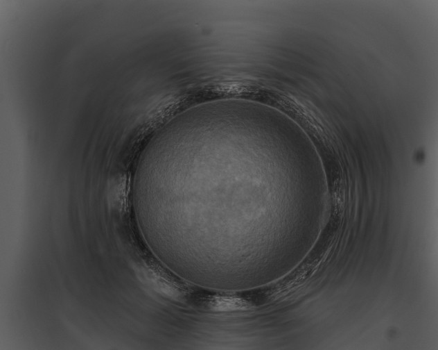 X0000095680605200801151127