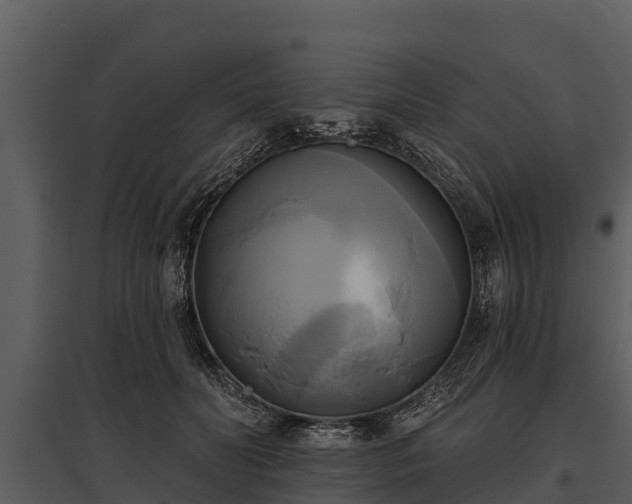 X0000095680606200801151127