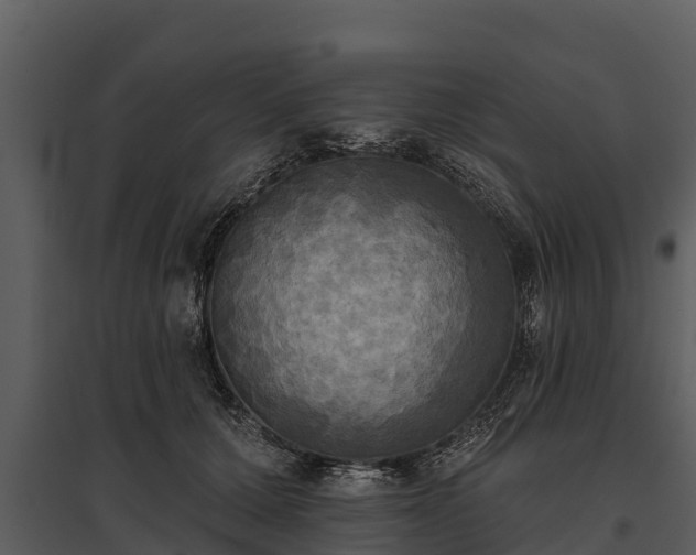 X0000095680607200801151127
