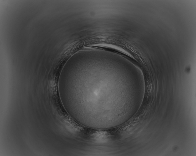X0000095680609200801151127