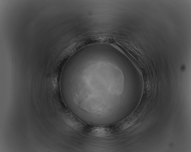 X0000095680611200801151127