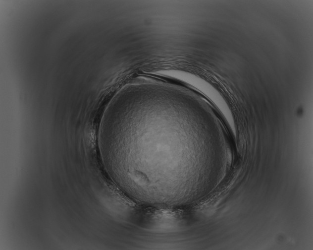 X0000095680613200801151127