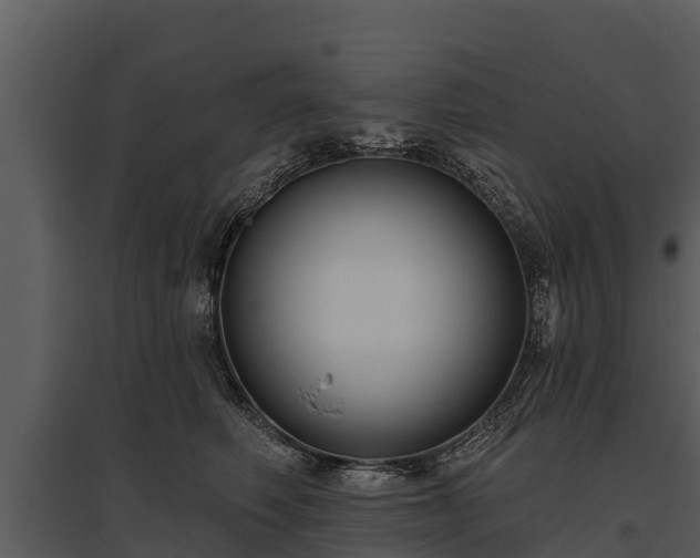 X0000095680614200801151127