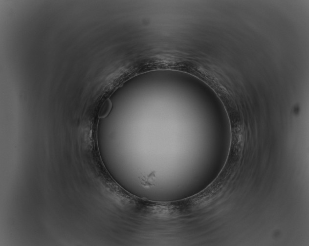 X0000095680615200801151127