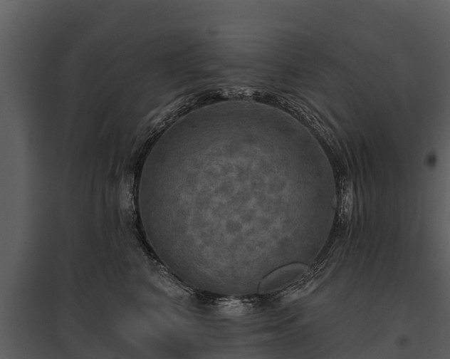 X0000095680616200801151127