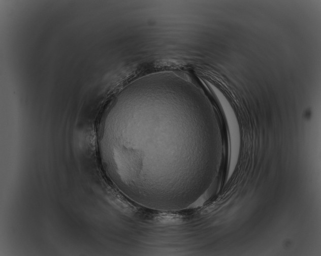 X0000095680617200801151127