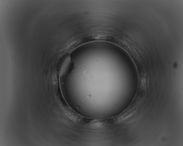 X0000095680620200801151127
