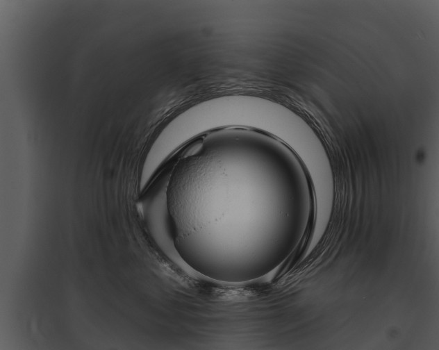 X0000095680621200801151127