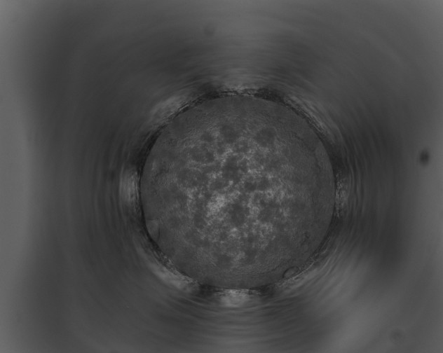X0000095680623200801151127