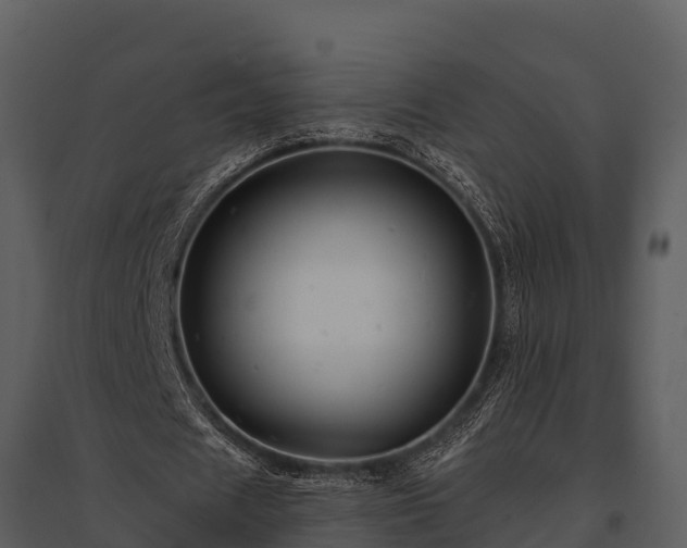 X0000095680625200801151126