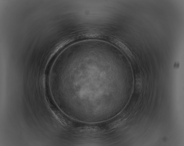 X0000095680626200801151126