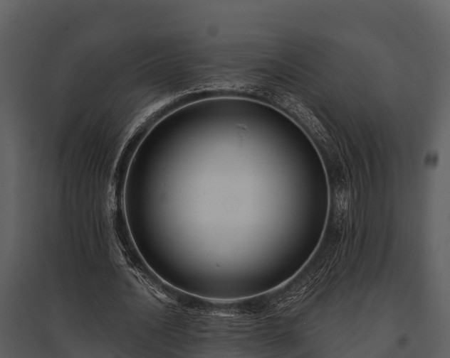X0000095680628200801151126