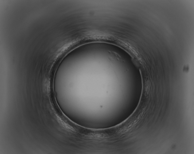 X0000095680629200801151126