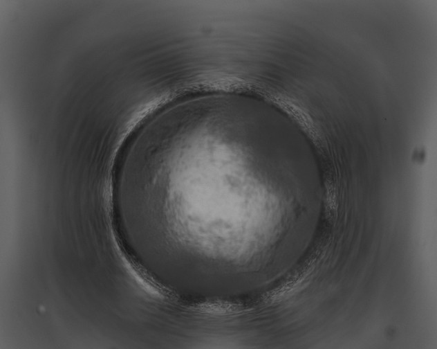 X0000095680630200801151126