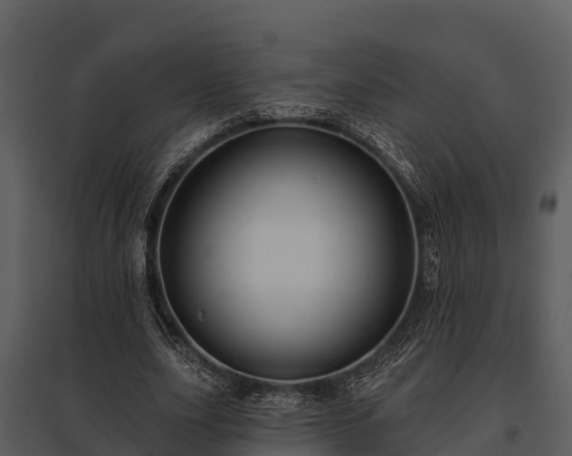 X0000095680631200801151126