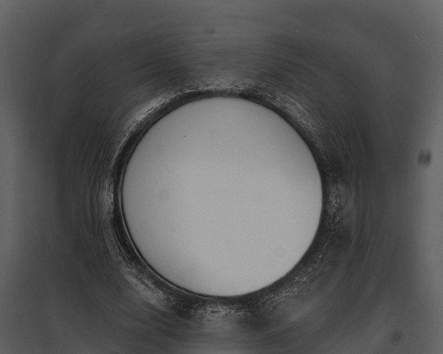X0000095680632200801151126