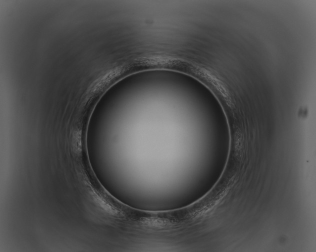 X0000095680633200801151126