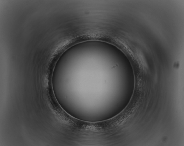 X0000095680635200801151126